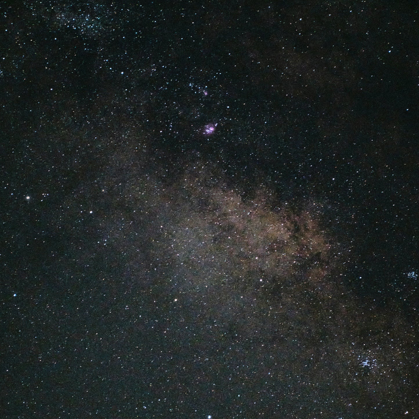 The Scented Order-Incense Sticks-DREAMLAND