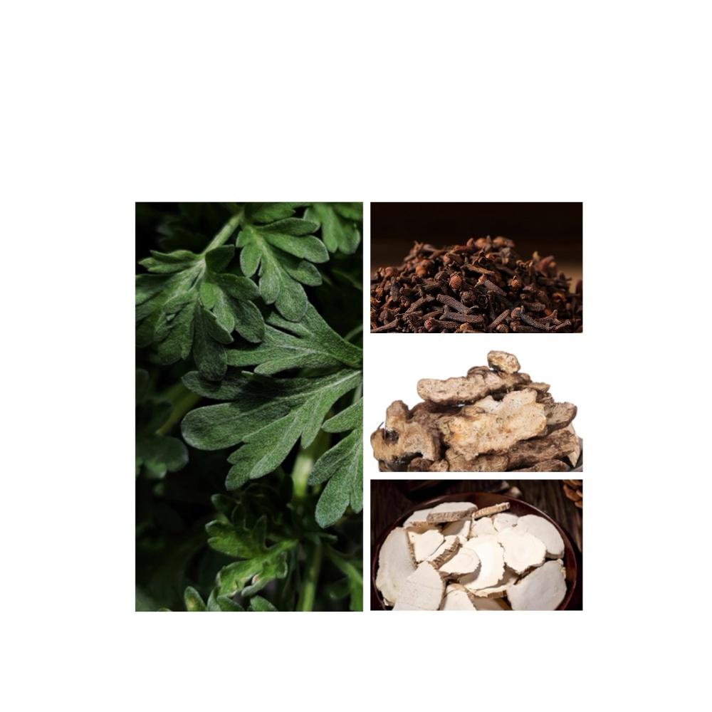 The quiet east-Aged Artemisia